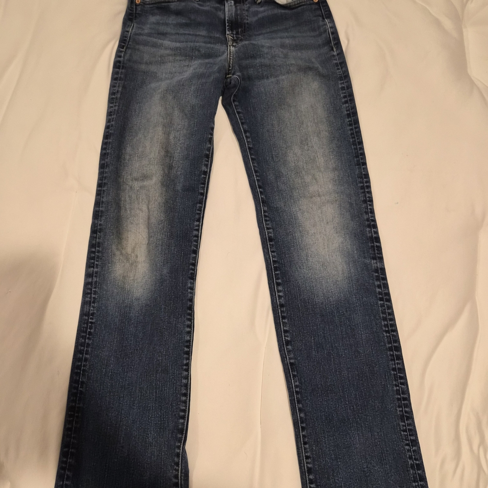 American Eagle Outfitters Dark Blue Straight Jeans